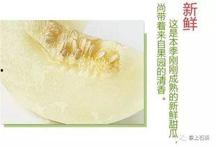 江苏沭阳吃瓜,瓜果飘香，品味田园生活新篇章  第3张